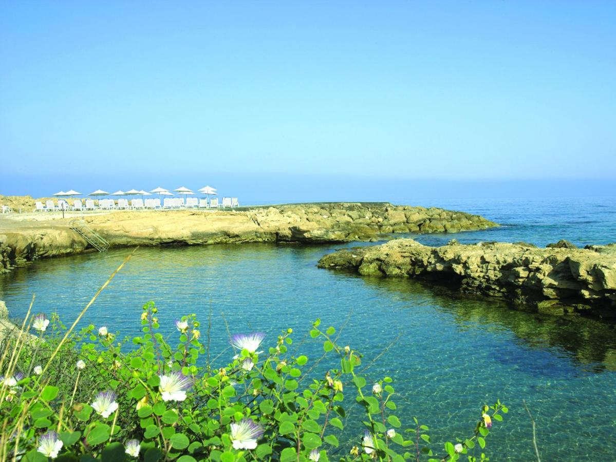 Cynthiana Beach Hotel Kissonerga Kemudahan gambar